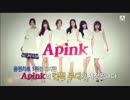 140410　Apink　So Long ＋ Mr.Chu