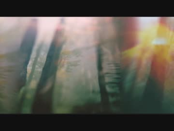 Is There Reality Somewhere