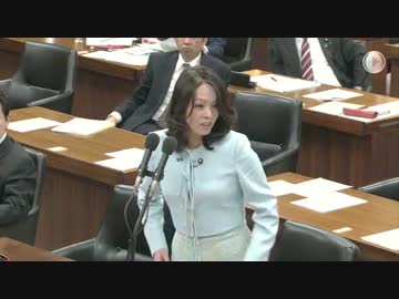H26/4/11 衆議院内閣委員会・杉田水脈【慰安婦像設置問題等について】