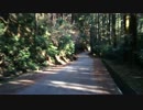 県道42号の険区間をiPhoneで撮ってみた