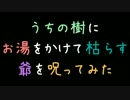 うちの樹にお湯をかけて枯らす爺を呪ってみた【2ch】