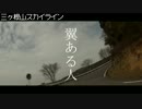 【CBR250R】本場の名古屋走りが見たくて　その2【ぼっち】