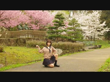 【福井で】メグメグ☆ファイアーエンドレスナイト踊ってんた【ねおん】