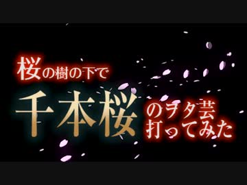 【春】桜の樹の下で『千本桜』のヲタ芸打ってみた