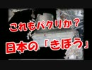 【これもパクリか？】 日本の「きぼう」
