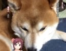 月読遊戯（S）