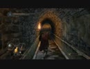 ジャンキーが更なる快感求めダークソウル２、実況してみた！【part31】
