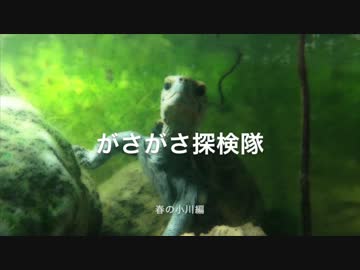 がさがさ１回目