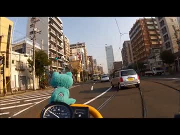 【奈良公園】かえるとバイクと【鹿】
