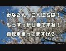 【ロードバイク】マウント方法比較(ヒルクライムリハビリ)