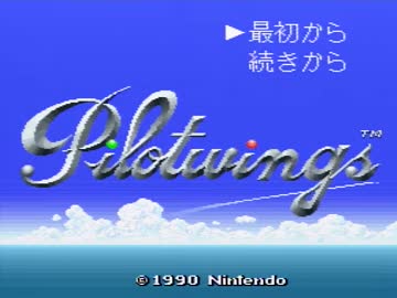 【実況】パイロットになろうとした。(前編)