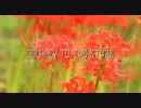 【NNI】Journey To The Stars - 彼岸花