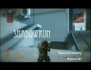通りすがりのShadowrun ピナクル 1/2