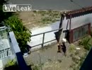 犬「よし、妊娠確実！！脱出ｗｗｗｗ！！」