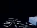 カルロス 1/4