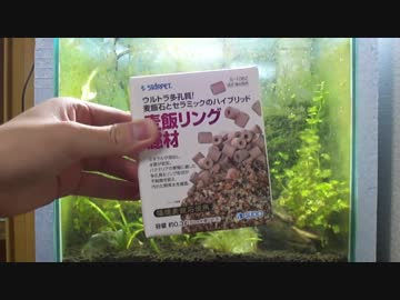 【ゆっくり】初心者が水槽を立ち上げる その6