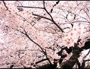  『つぼみ』歌ってみた　☆えなみ☆