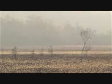 【NNI】 Act:Legacy 【instrumental】