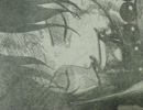 伝説の火拳が幻想入り　（予告？）