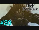 【実況】兄妹愛溢れるゲームをプレイ【ニーアレプリカント】part30