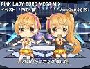 【杏音鳥音】PINK LADY EURO MEGA MIX【カバー】