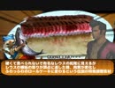 【実況】MH3G モガ村奮闘記　第18回