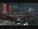 【PSO2】　迷子の仔猫のワイヤードランスの道！　『ＶＳ磁炎龍』