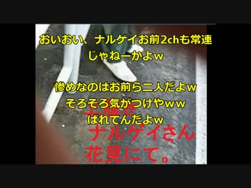 ナルゲイ検証動画UP.wmv
