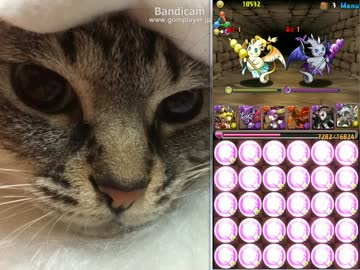 パズドラ 金曜ダンジョン 天獄塔 超地獄級 光リリスパのコンテンツツリー ニコニ コモンズ