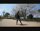 【雛姫】 恋空予報 【踊ってみた】