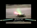 ジェダイマスター猫ライトセィバーを抜く