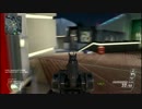SランクNO1プレイヤーによるスウォーム動画　６（たぶん）