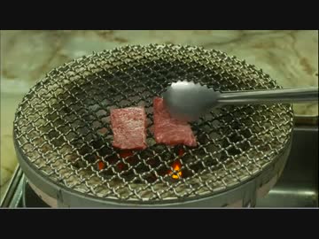 ホモと学ぶ東條希.kdkngrm