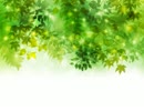 【NNIオリジナル曲】電話帳