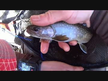 渓流魚が食べたくなって・・・