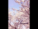 【カラオケ】　桜　コブクロ　【OFFVOCAL】