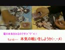 ヴァイスシュヴァルツ対戦動画 リライトVSドッグデイズ前半戦