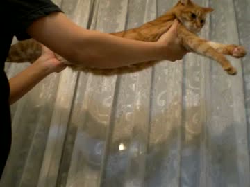 拾いねこ＠生後654/621日　空飛ぶアコツキ