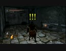 【オフラインな】ダークソウル2初見実況プレイ 第24話【DARK SOULS Ⅱ】