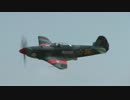 Yakovlev Yak-9 Yellow 06