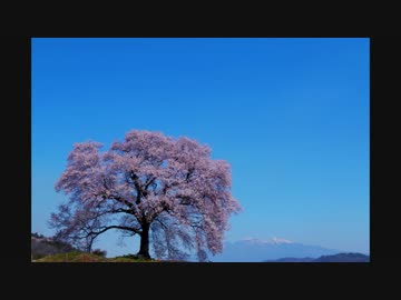 旅人なひととき　番外　暖かい春の日差しに包まれて