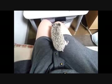 おまおま動画（NO.7） クライム