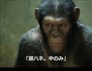 動物じゃんけん。めざせ百獣の王 .mp4