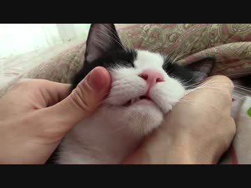 マッサージしてもらって上機嫌なお嬢様