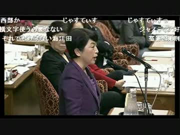 国会にて福島瑞穂議員「日本政府がヘイトスピーチや差別を作っている」