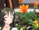 トラベリングハイ（S）