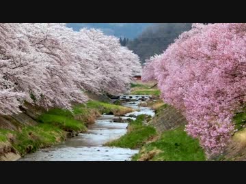 【福島】 石川町中心部（春）