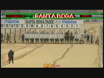 【世界の競馬場から】トリニダードトバゴ競馬の日常～スタート編～
