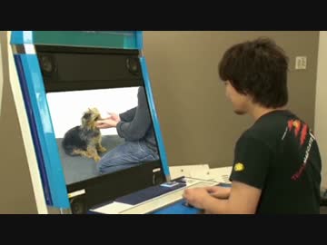 エサを手品で消し去った時のウメハラの反応が面白い