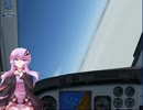 ゆかりさんと飛ぶFSXの空　米軍アルバイト編Ｐａｒｔ3